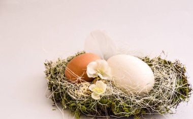 Bir Paskalya ve bahar dekorasyon olarak bir yuvadaki yumurta