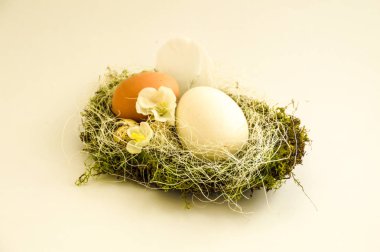Çiçekli yuvadaki yumurta