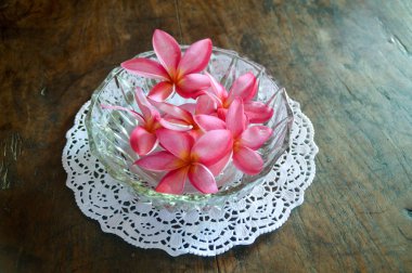 Masadaki pembe orkide çiçeği.