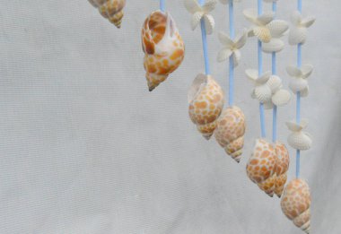 Beyaz arkaplanda beyaz ve mavi inciler