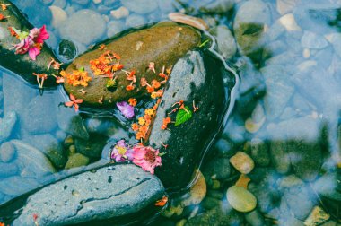 Doğanın arka planında güzel bir şelale