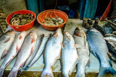 Piyasada taze balık