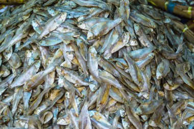 Tayland 'daki balık pazarında balık..