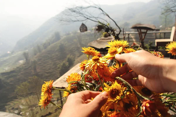 Evde bahçıvanlık ve bitkilerle ilgilenmek, ev karantinasıyla başa çıkmanın bir yolu olarak, zihinsel sağlık, kişisel izolasyon ve covid-19 veya corona virüsü küresel salgınından dolayı sosyal mesafeyi korumak