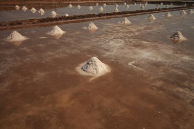 Kamboçya 'nın tuz tarlaları ya da Kamboçya' nın tuz tarlaları hasat mevsiminde insanların yerel geçim kaynaklarını ve kültürlerini gösteriyor.