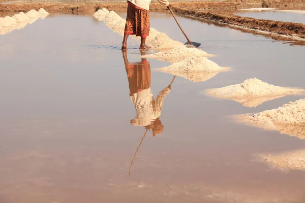 Trabajador Granja Sal Cosechando Sal Que Medio Vida Tradicional Local — Foto de Stock
