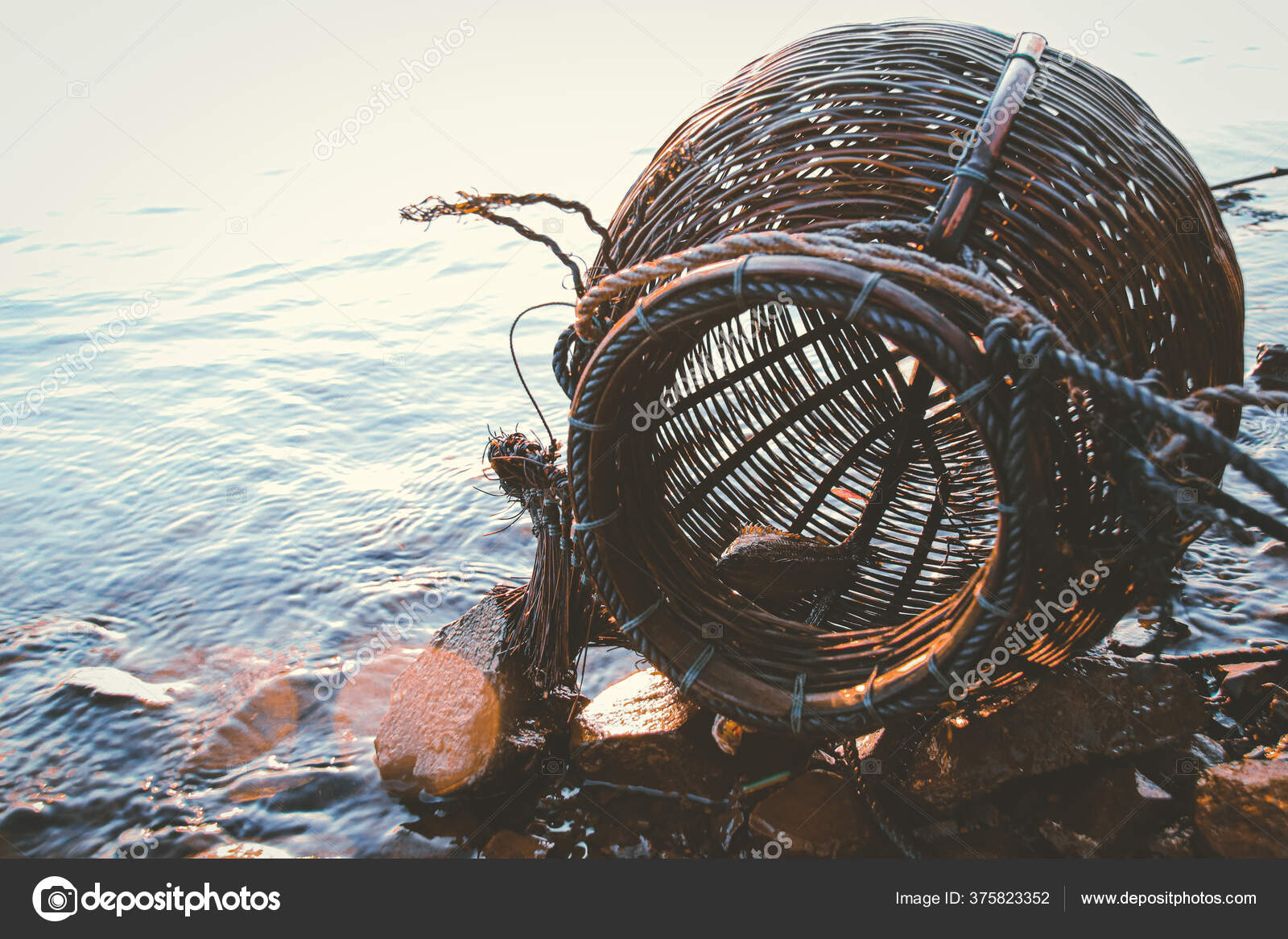 Woven Rattan Creel Fishing Basket Traditional Fish Container Rural Fishing  Stock Photo by ©mcjvil 375823352