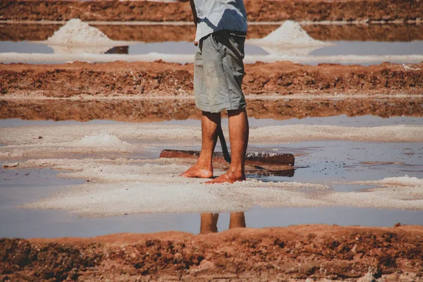 Filmfoto Traditionell Skörd Salt Kampot Provinsen Kambodja Som Visar Den — Stockfoto