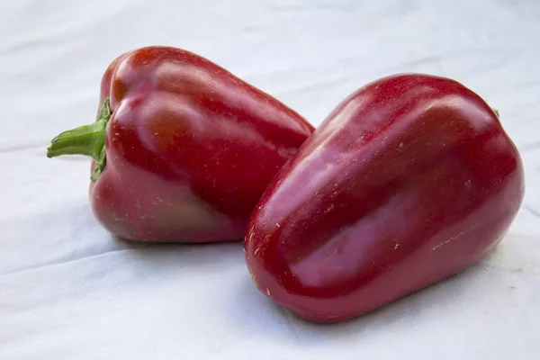 Painted pepper on a white background. — Stock Photo, Image