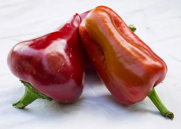 Painted pepper on a white background. — Stock Photo, Image