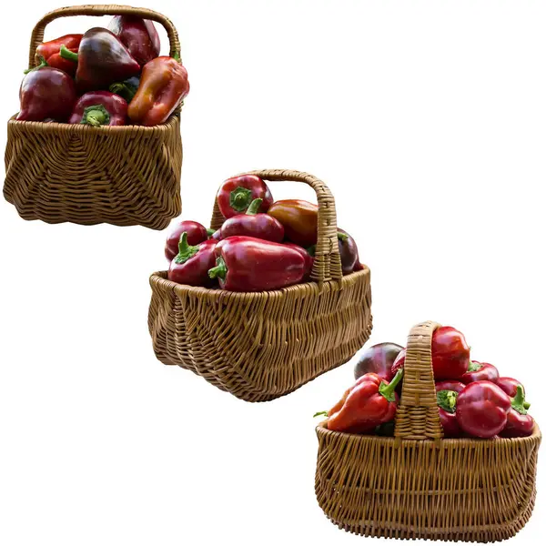 Basket with red paprika isolated on a white background. — Stock Photo, Image