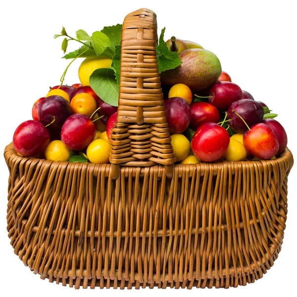 Basket with cherry plum and plums. — Stock Photo, Image