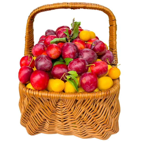 Basket with cherry plum and plums. — Stock Photo, Image