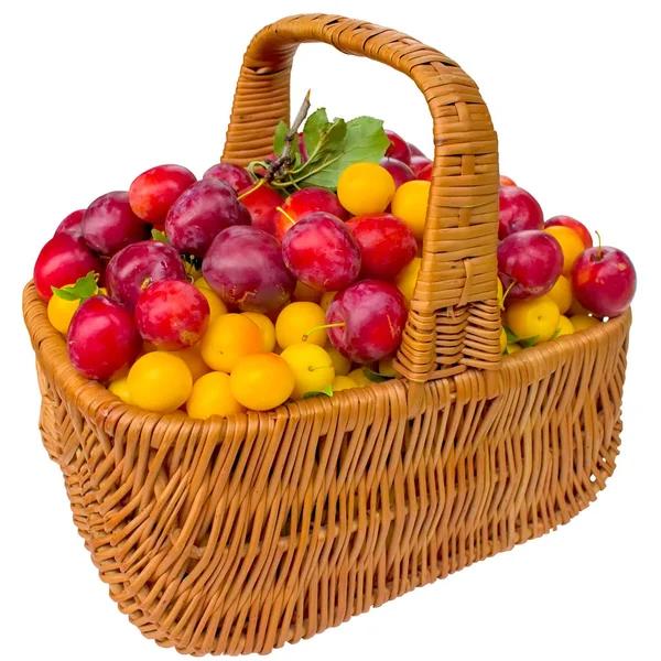 Koš s cherry plum a švestky. — Stock fotografie