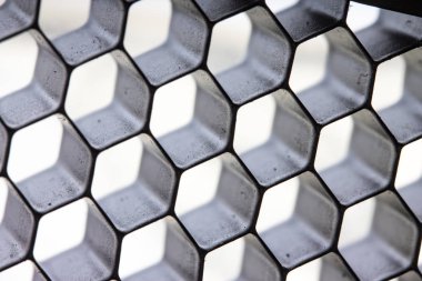 Beyaz arkaplan üzerinde Siyah Bal Tarağı