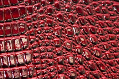 parlak timsah derisi