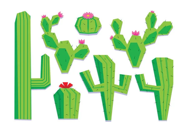 Conjunto de diferentes cactus de dibujos animados aislados — Vector de stock