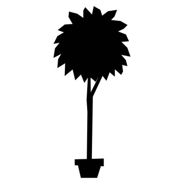 Beyaz arka plan üzerinde izole karikatür Bonsai