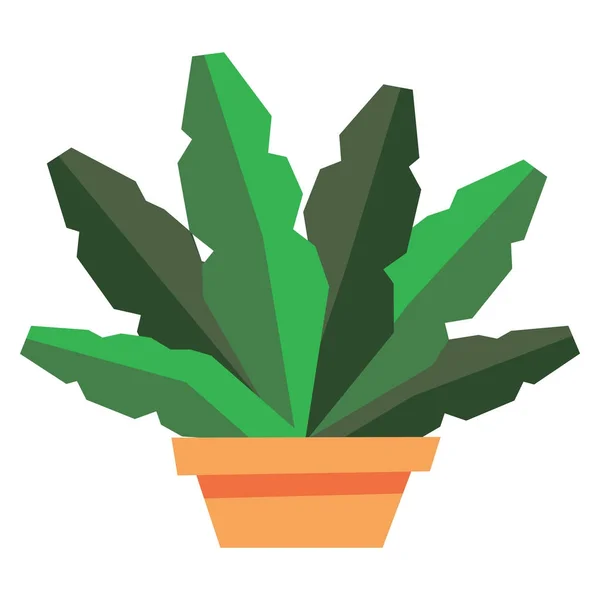 Planta de dibujos animados aislada sobre fondo blanco — Vector de stock