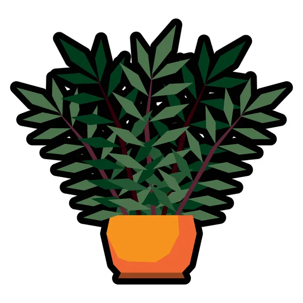 Bonsai de dibujos animados aislado sobre fondo blanco — Vector de stock