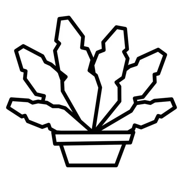 Bonsai de dibujos animados aislado sobre fondo blanco — Vector de stock