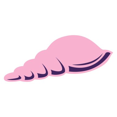 Beyaz arkaplanda deniz kabuğu izole