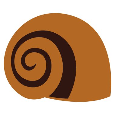 Salyangoz kabuğu beyaz arkaplanda izole edildi