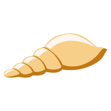 Beyaz arkaplanda deniz kabuğu izole