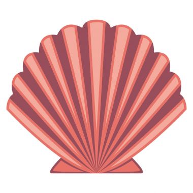 Beyaz arkaplanda deniz kabuğu izole