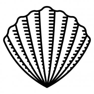 Beyaz arka plan üzerinde izole deniz tarağı