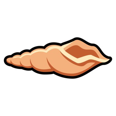 Beyaz arkaplanda deniz kabuğu izole