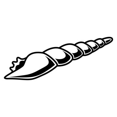 Beyaz arkaplanda deniz kabuğu izole