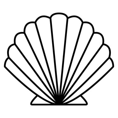 Beyaz arkaplanda deniz kabuğu izole