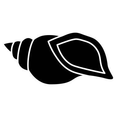 Beyaz arkaplanda deniz kabuğu izole