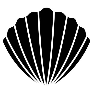 Beyaz arkaplanda deniz kabuğu izole