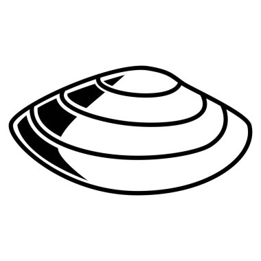 Beyaz arkaplanda deniz kabuğu izole