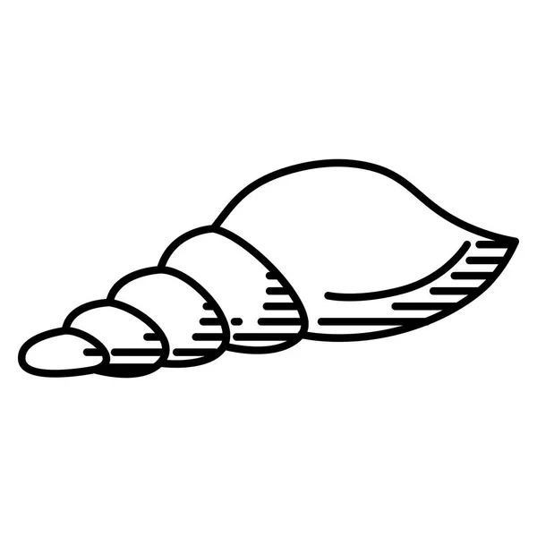 Coquille isolée sur fond blanc — Image vectorielle