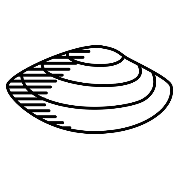 Θαλασσινό κέλυφος απομονωμένο σε λευκό φόντο — Διανυσματικό Αρχείο