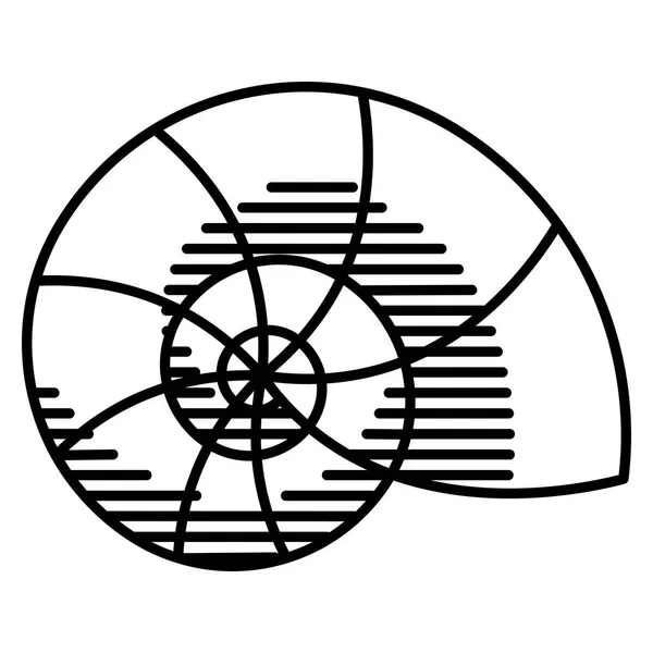 Caparazón de caracol aislado sobre fondo blanco — Vector de stock