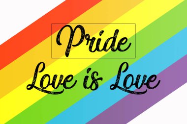 Hakların sembolü olarak gökkuşağı bayrağında 