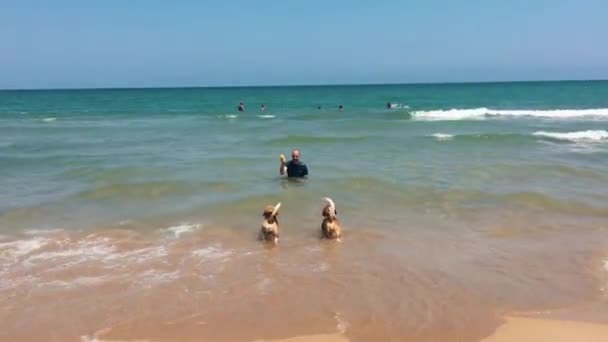 해변에 비글호의 마리와 — 비디오