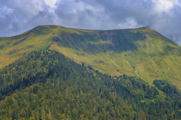 Pikhtovaya Polyana, Krasnodar Krayı, Rusya Federasyonu.