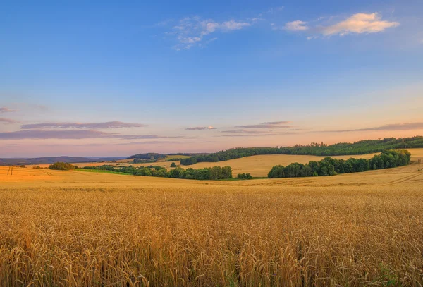 Countryside, Czech Republic. — Stock Photo, Image