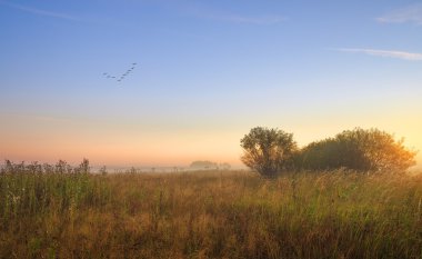 Moscow region, Rusya Federasyonu.