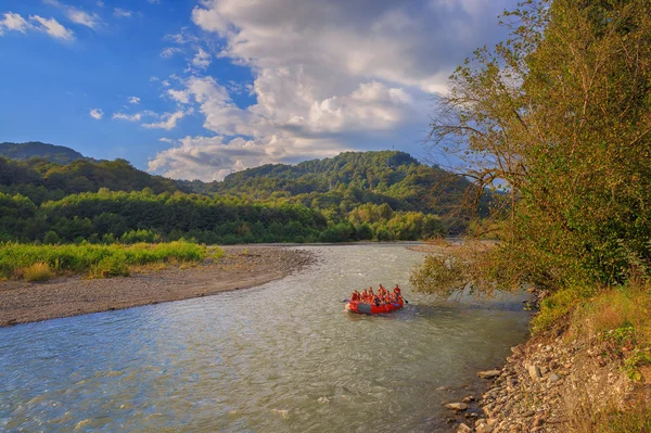 Dağ nehir. Sochi, Rusya Federasyonu.