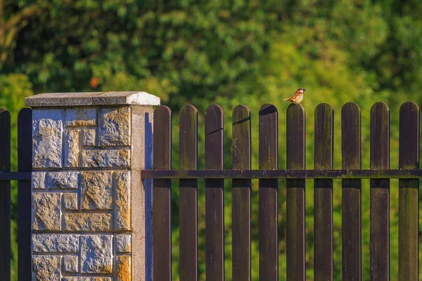 Zdislavice, Czech Republic.