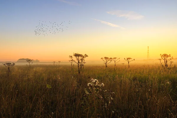 Moscow region, Rusya Federasyonu.