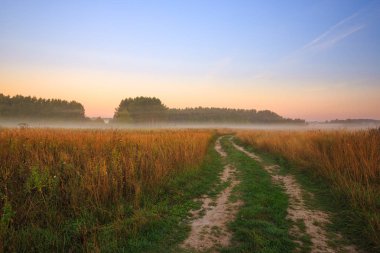 Moscow region, Rusya Federasyonu.