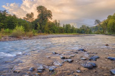 Dağ nehir. Sochi, Rusya Federasyonu.