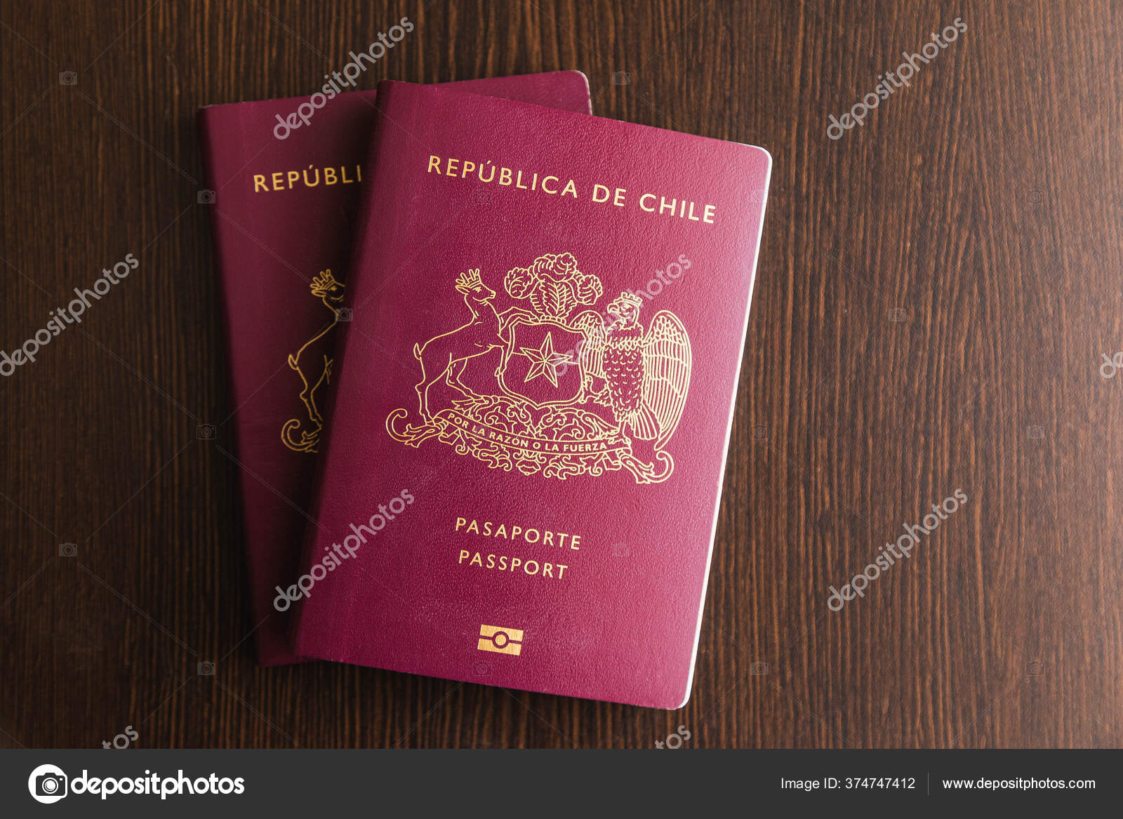 One Red Chilean Passport Some Dollars Desk — Stock Photo ...